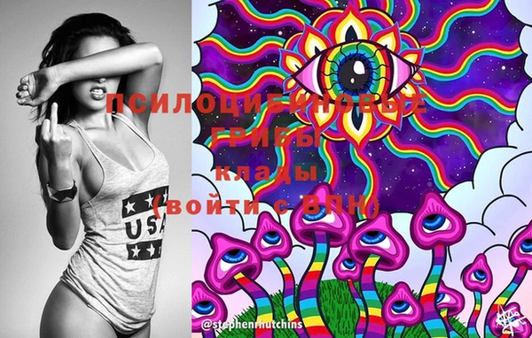 гидропоника Ханты-Мансийск