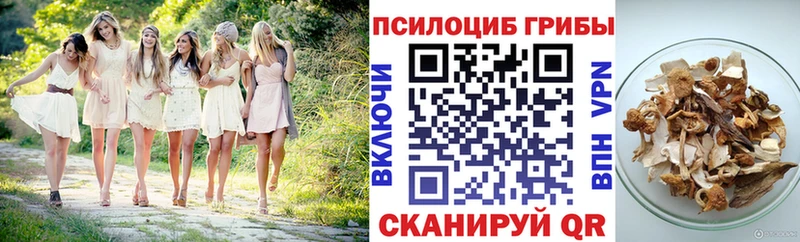 Купить  Туринск  Галлюциногенные грибы прущие грибы 